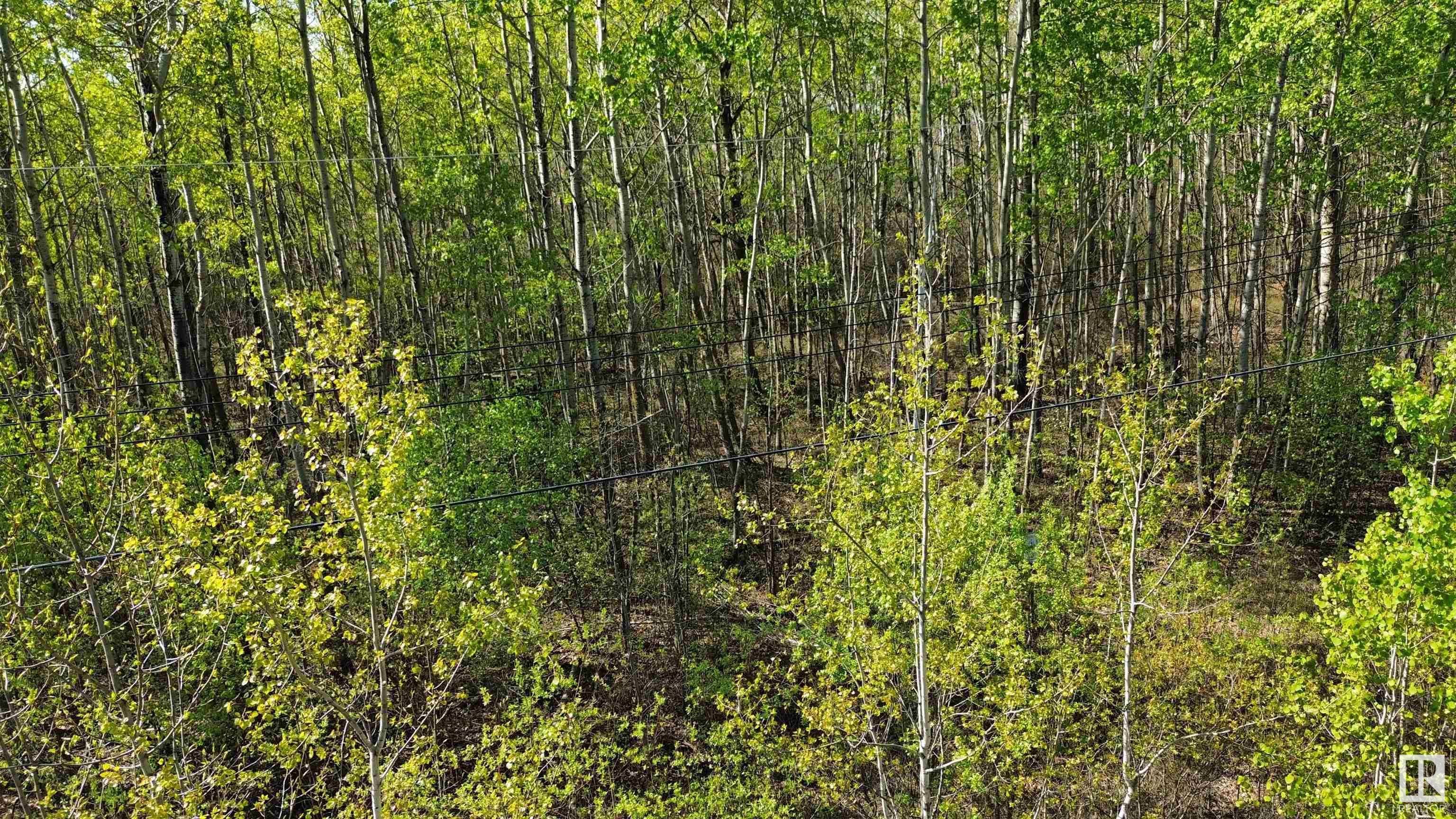 132 11124 Township Road 595, Rural St. Paul County, Alberta T0A0C0 For