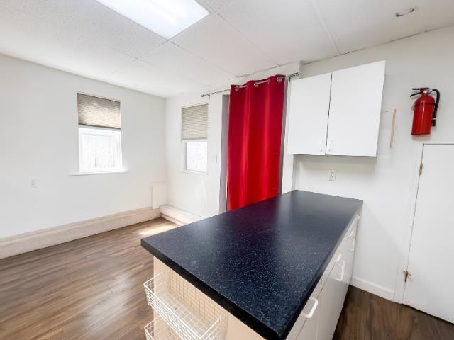 Unit Basement - 384 Blue Mountain Street, Coquitlam 4