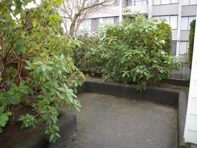 Unit 113 - 707 8 Street, New Westminster 2