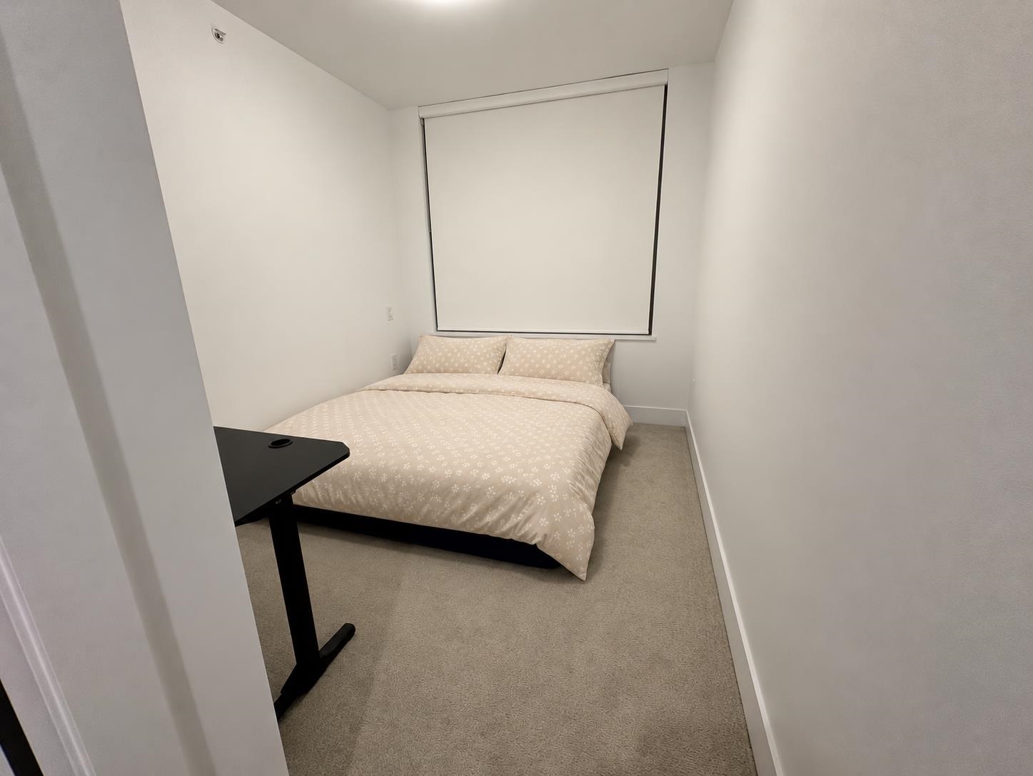 Unit 5xx - 8750 University Crescent, Burnaby 3